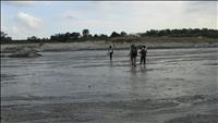 thumbnail of 