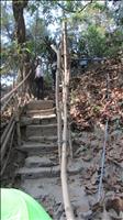 thumbnail of 