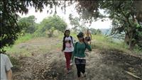 thumbnail of 