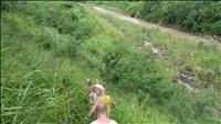 thumbnail of 