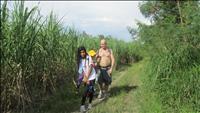 thumbnail of 