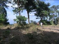 thumbnail of 
