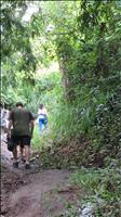 thumbnail of 