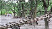 thumbnail of 