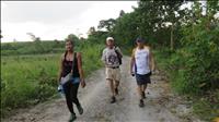 thumbnail of 