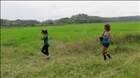 thumbnail of 
