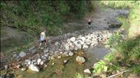 thumbnail of 