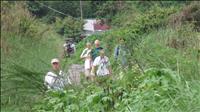 thumbnail of 