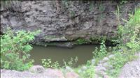 thumbnail of 