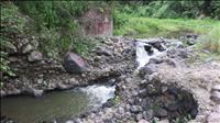 thumbnail of 