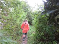 thumbnail of 
