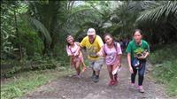 thumbnail of 