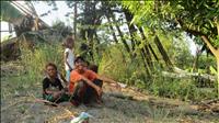thumbnail of 