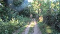 thumbnail of 