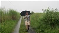 thumbnail of 