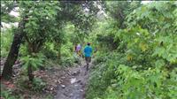 thumbnail of 