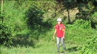 thumbnail of 