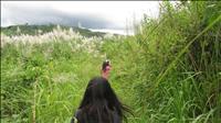 thumbnail of 