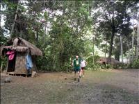 thumbnail of 