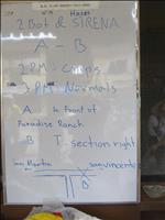 thumbnail of Notice Board