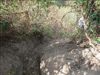 thumbnail of 