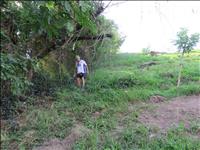 thumbnail of 