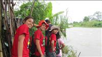 thumbnail of 