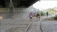 thumbnail of 