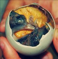 thumbnail of Balut