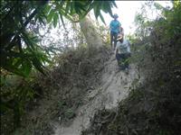 thumbnail of 
