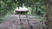 thumbnail of 20111211 (7)_tn
