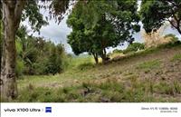 thumbnail of 
