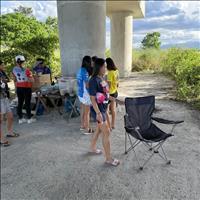 thumbnail of 