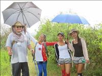 thumbnail of 