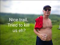thumbnail of 