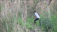 thumbnail of 
