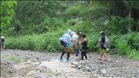 thumbnail of 