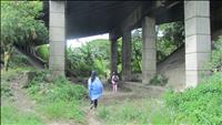 thumbnail of 
