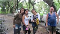 thumbnail of 