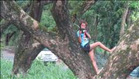 thumbnail of 