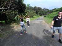 thumbnail of 